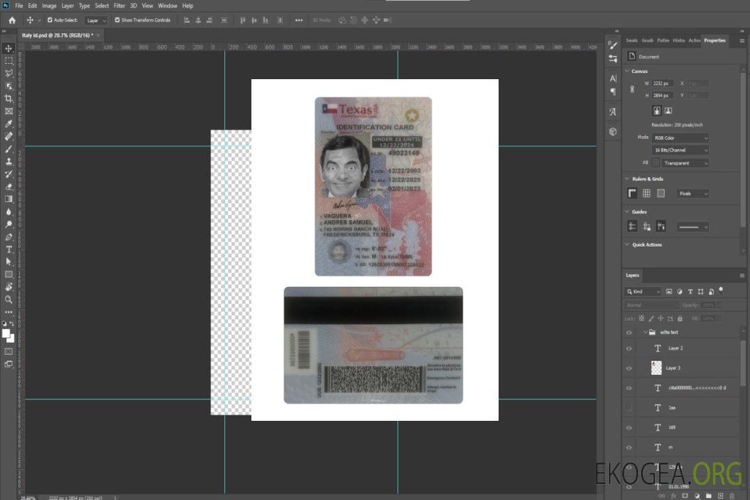 Carte d'identité des moins de 21 ans aux États-Unis, au Texas template